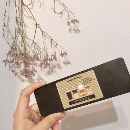 プレイカラー アイシャドウ/ETUDE/アイシャドウパレットを使ったクチコミ(2枚目)