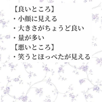 ディスポーザブルマスク プリーツ型マスク/アイリスオーヤマ/マスクを使ったクチコミ(2枚目)