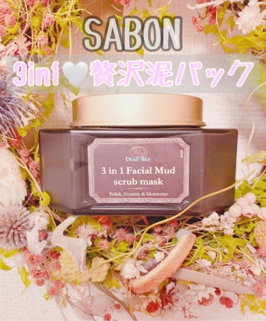 3in1 フェイシャル マッド スクラブ マスク/SABON/洗い流すパック・マスクを使ったクチコミ（1枚目）