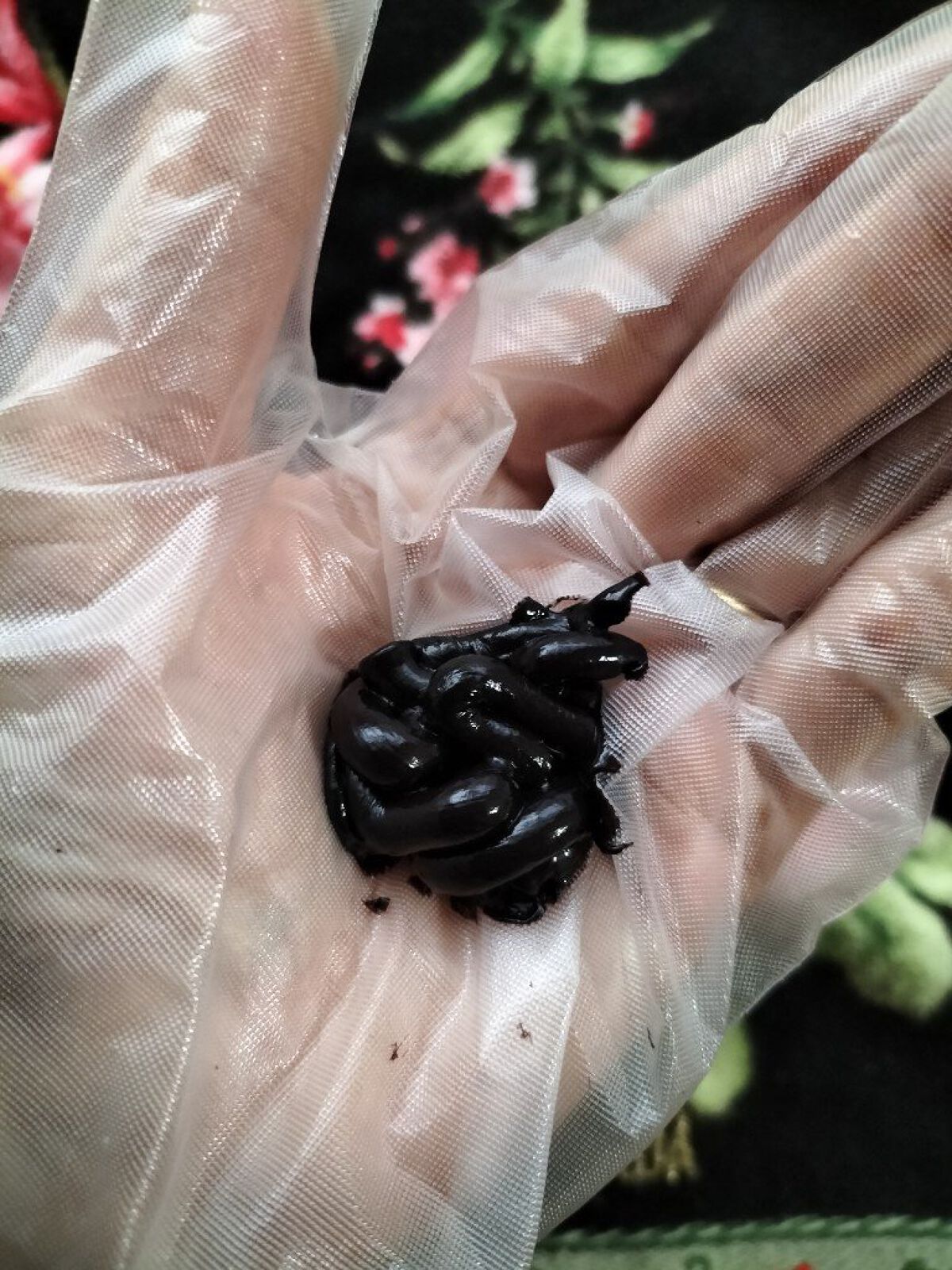 ハーバニエンス　ヘアカラートリートメント/HERBANIENCE/ヘアカラーを使ったクチコミ（2枚目）