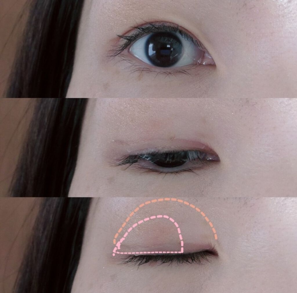 エテュセ アイエディション (マスカラベース)/ettusais/マスカラ下地を使ったクチコミ（3枚目）