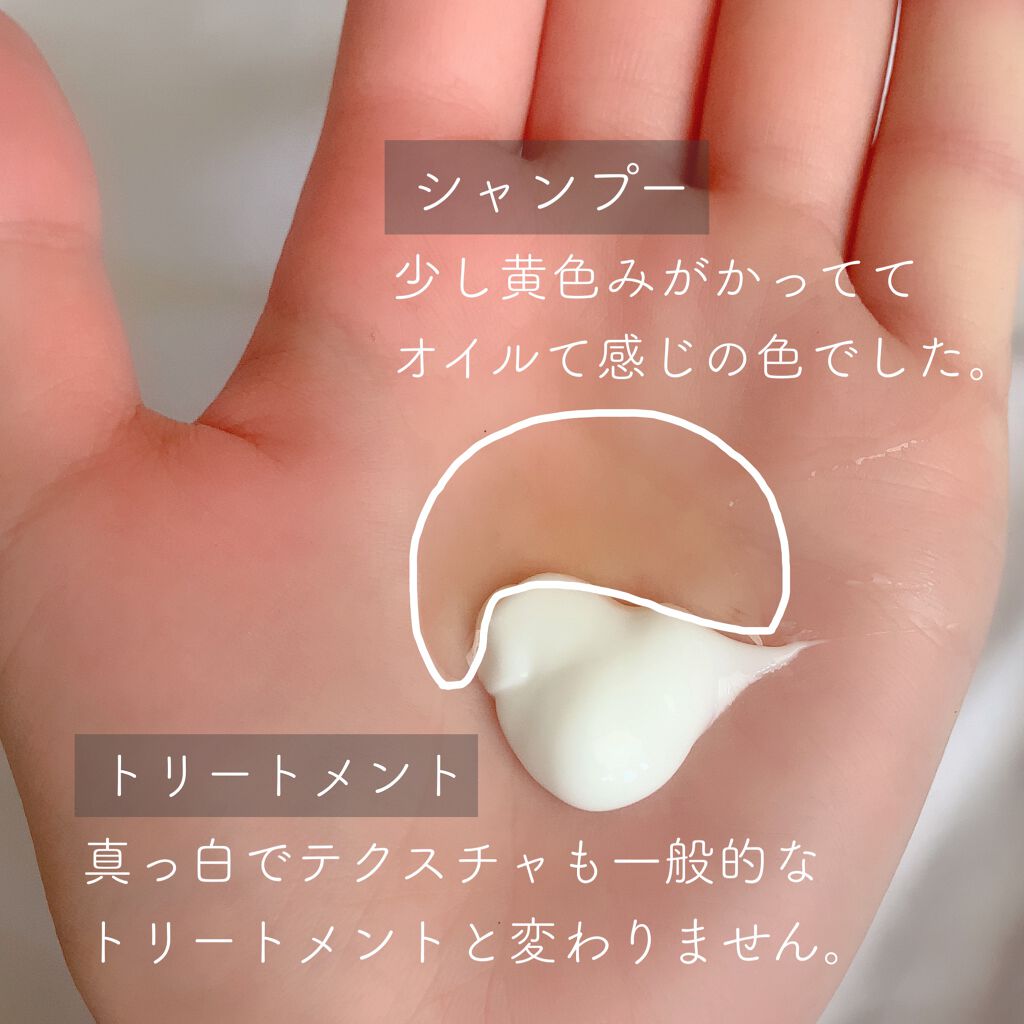 スーパーバウンシー DM シャンプー／DM ヘア トリートメント トリートメント本体 480ml/THE PUBLIC ORGANIC/市販シャンプーを使ったクチコミ（2枚目）