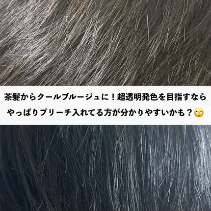 リーゼ ティントカラージェル/リーゼ/ヘアカラーを使ったクチコミ(6枚目)