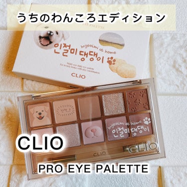 プロ アイ パレット/CLIO/アイシャドウパレットを使ったクチコミ（1枚目）