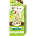 脱色クリーム(スピーディー)【旧】