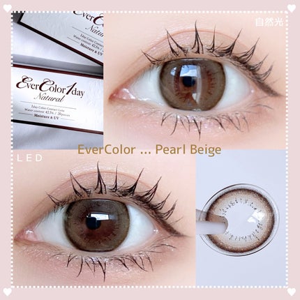 エバーカラーワンデー ナチュラル/エバーカラー/ワンデー(1DAY)カラコンを使ったクチコミ(5枚目)