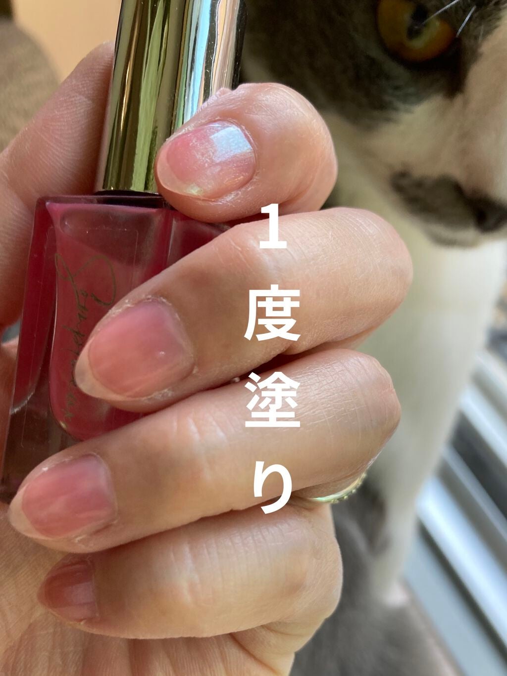 Somptueux(ソンプチュー) ネイルポリッシュ/DAISO/マニキュアを使ったクチコミ(3枚目)