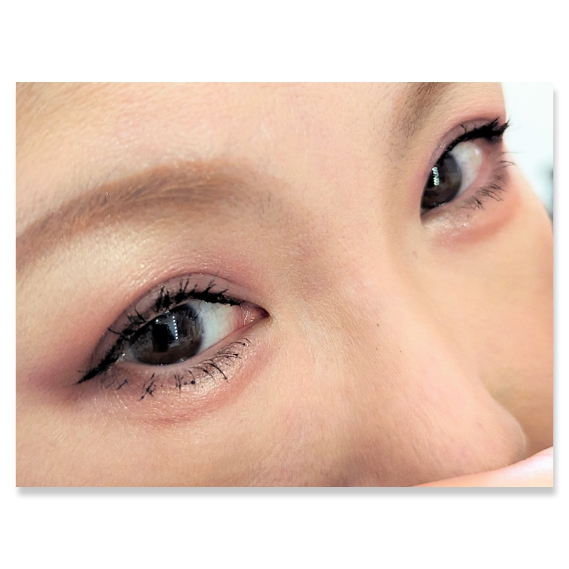 足しパレ/Fujiko/アイシャドウパレットを使ったクチコミ（2枚目）