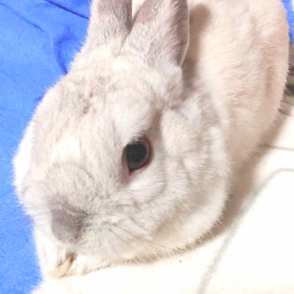 あ。 on LIPS 「はじめまして!灯です😳LIPS使ってて見る専だともったいない気..」(1枚目)