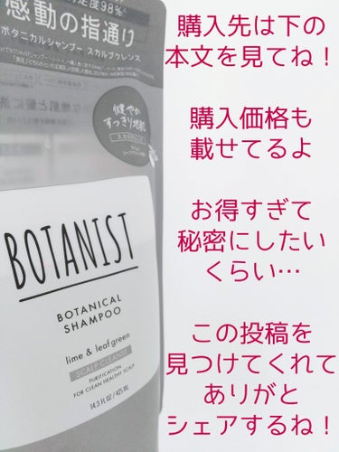 ボタニカルトリートメントスカルプクレンズ/BOTANIST/シャンプー・コンディショナーを使ったクチコミ（2枚目）