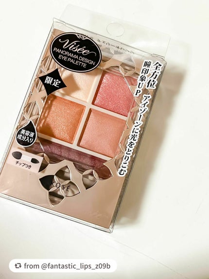 パノラマデザイン アイパレット/Visée/アイシャドウパレットを使ったクチコミ(9枚目)