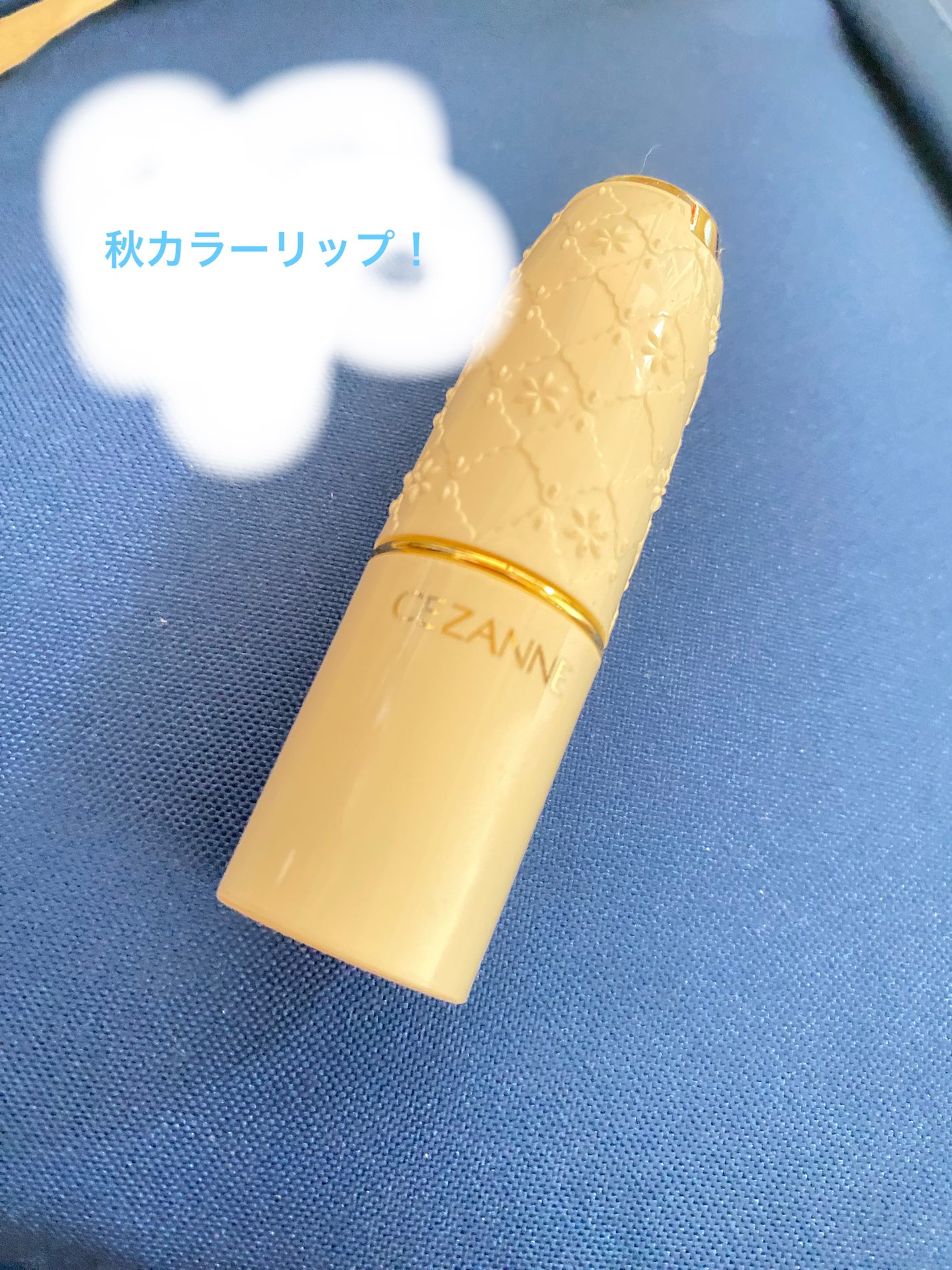 ラスティング リップカラーN/CEZANNE/口紅を使ったクチコミ(1枚目)