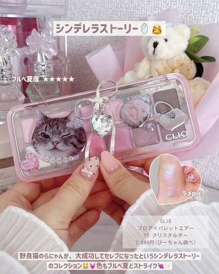 プロ アイ パレット エアー/CLIO/アイシャドウパレットを使ったクチコミ(3枚目)