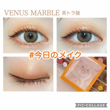 Venus Marble アイシャドウキャットシリーズ 茶トラ猫/Venus Marble/アイシャドウパレットを使ったクチコミ（1枚目）