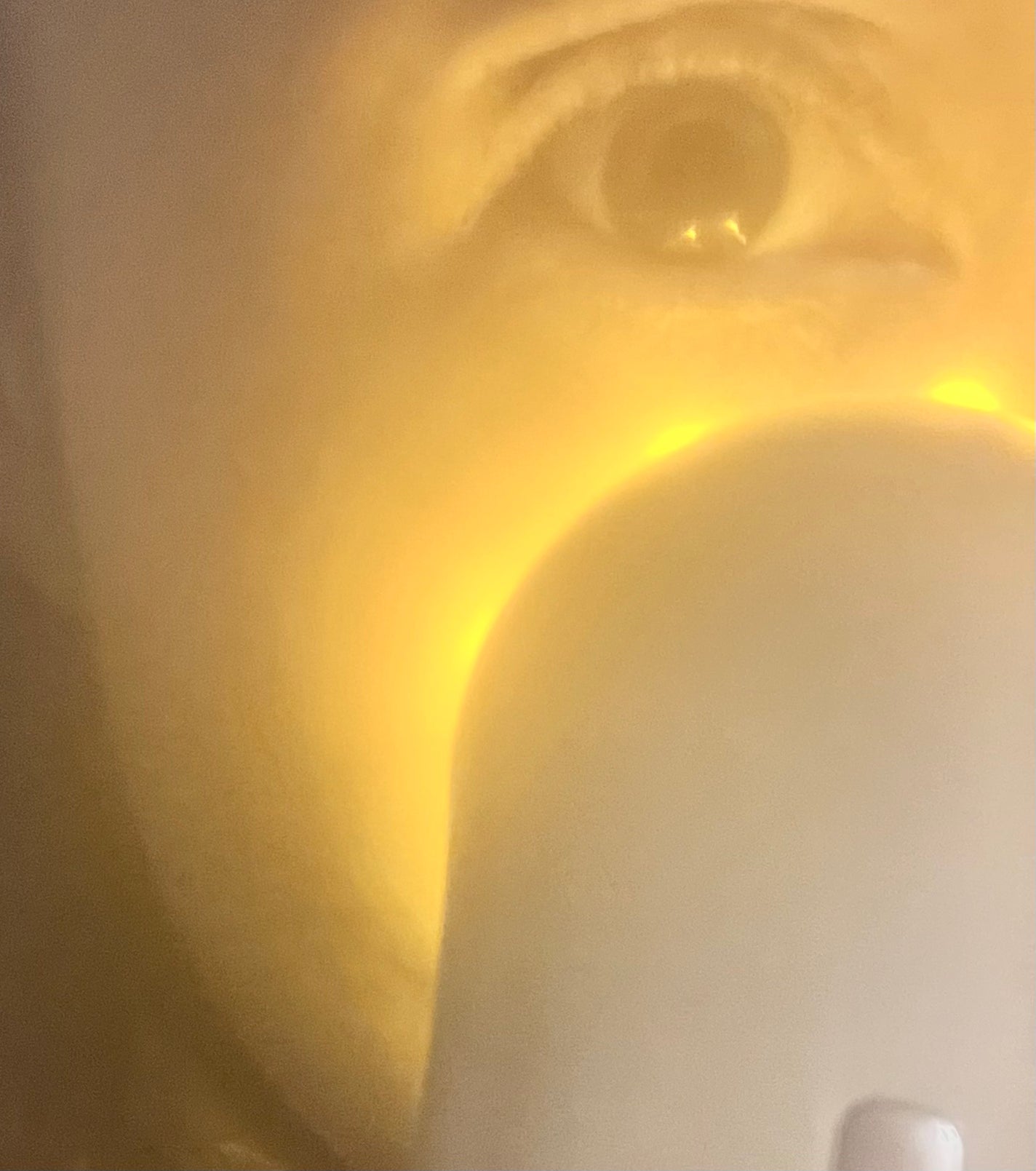 マルチフェイシャルトリートメント/LINKA/美顔器・マッサージを使ったクチコミ(3枚目)