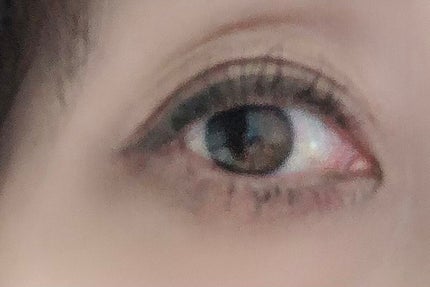 wakað on LIPS ãââä»å¹Žã®å€ã«å€§æŽ»èºããã¢ã€ã©ã€ããŒâšââËâãŽã£ã»ããªã·ã§..ãïŒ4æç®ïŒ