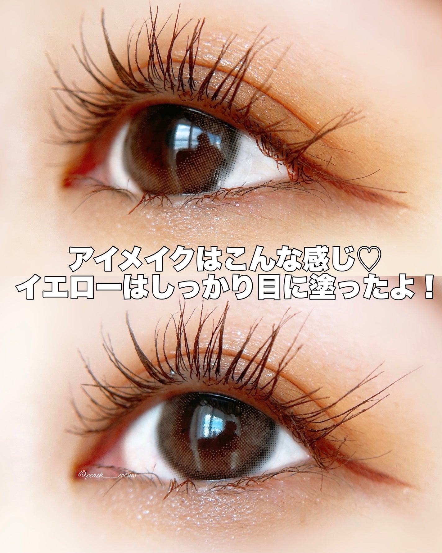 エテュセ アイエディション(カラーパレット)/ettusais/アイシャドウパレットを使ったクチコミ(5枚目)