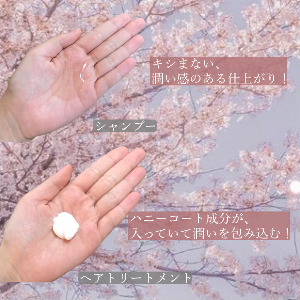 サクラ ディープモイスト シャンプー1.0/ヘアトリートメント2.0/&honey/シャンプー・コンディショナーを使ったクチコミ（3枚目）