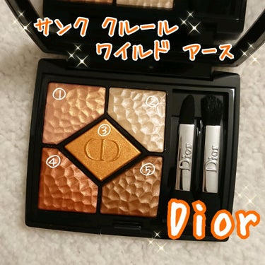 サンク クルール<ワイルド アース＞/Dior/パウダーアイシャドウを使ったクチコミ（1枚目）