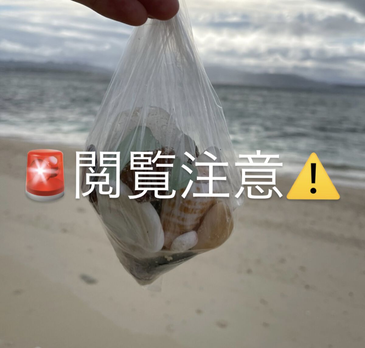 なめらか本舗 乳液 NA/なめらか本舗/乳液を使ったクチコミ（1枚目）