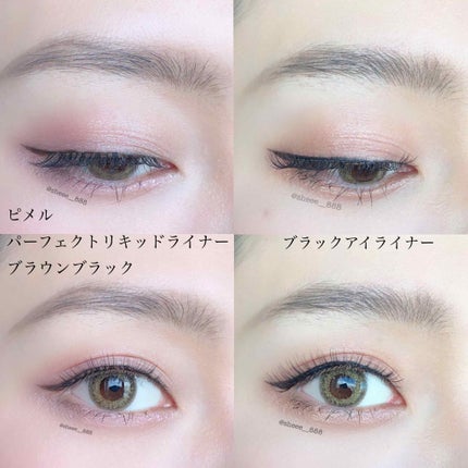 ピメル パーフェクトリキッドライナー ブラウンブラック/pdc/リキッドアイライナーの画像