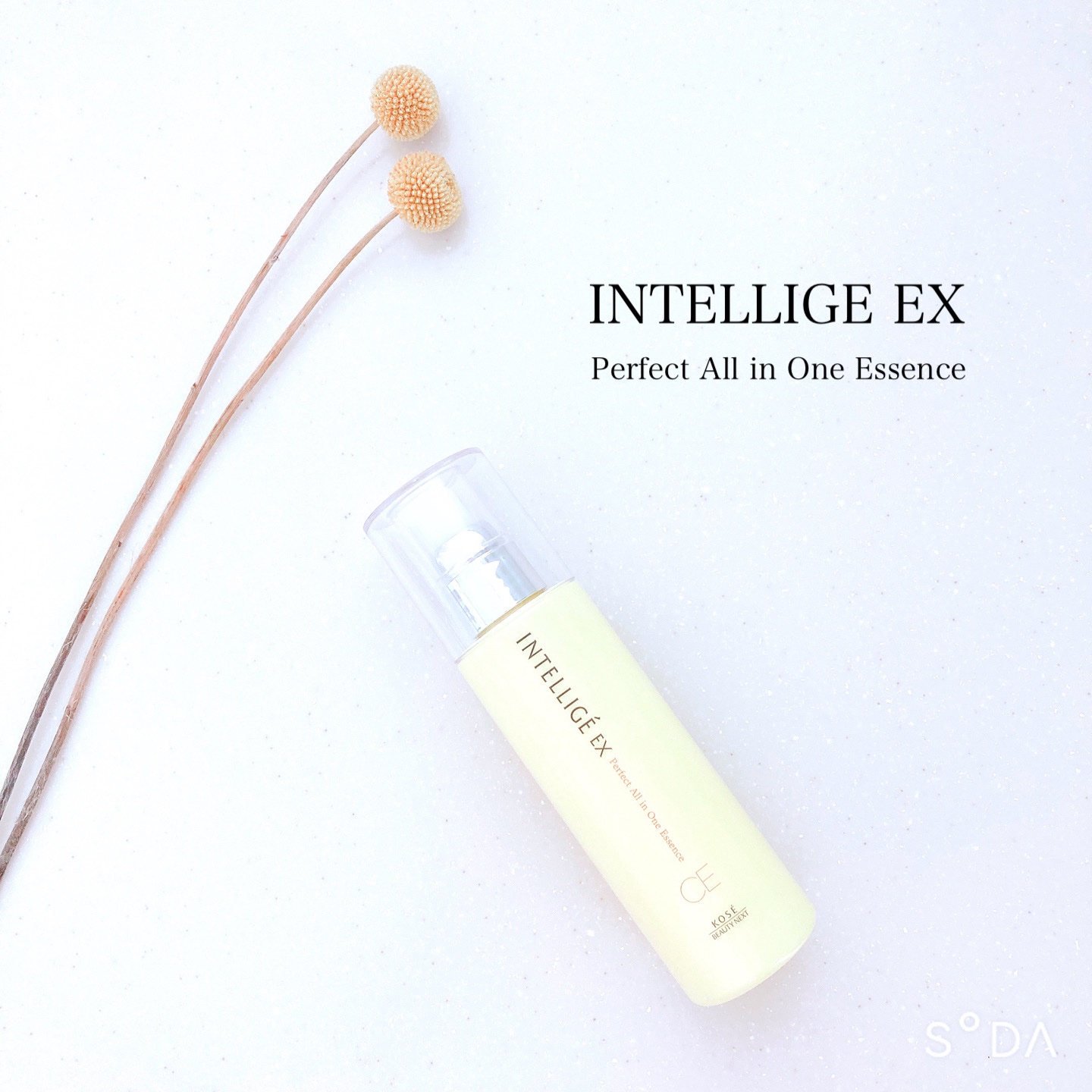 パーフェクト オールインワン エッセンス CE/アンテリージェEX/美容液を使ったクチコミ（1枚目）