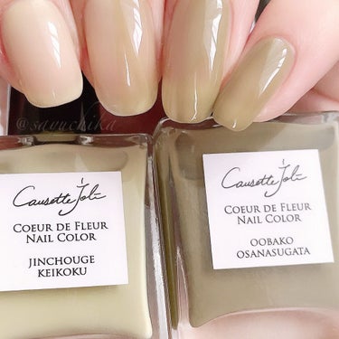 Coeur de Fleur Nail Color/Causette.Joli/マニキュアを使ったクチコミ（2枚目）