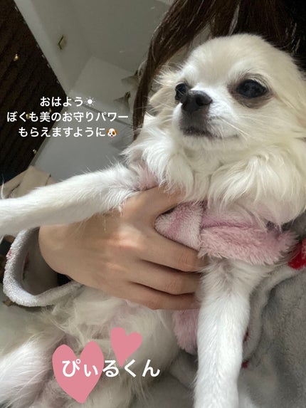 美のおまもり/北口本宮 冨士淺間神社/その他を使ったクチコミ(6枚目)