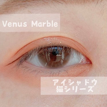 Venus Marble アイシャドウキャットシリーズ/Venus Marble/アイシャドウパレットを使ったクチコミ（1枚目）