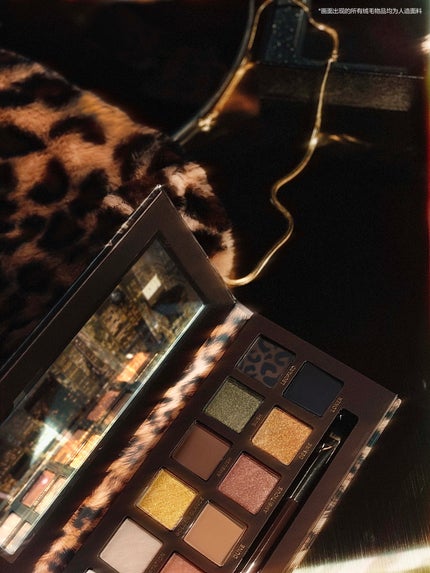 エクスプローラ12色 動物アイシャドウパレット/PERFECT DIARY/アイシャドウパレットを使ったクチコミ(3枚目)