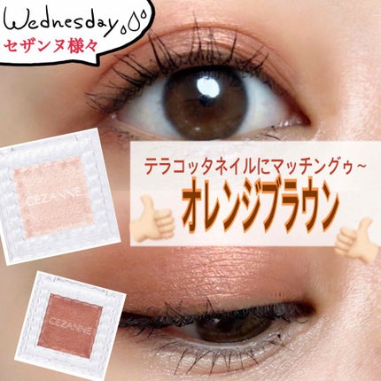 シングルカラーアイシャドウ/CEZANNE/単色アイシャドウを使ったクチコミ(1枚目)