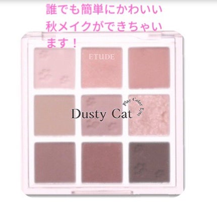 プレイカラーアイズ ダスティキャット/ETUDE/アイシャドウパレットを使ったクチコミ(4枚目)