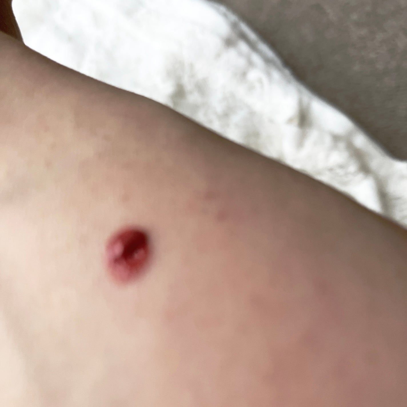 アディクション ザ マット リップ リキッド/ADDICTION/口紅を使ったクチコミ(3枚目)