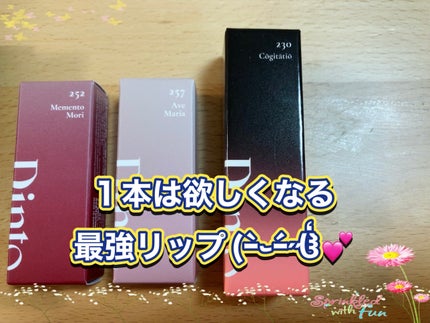 ブラーグロイリップティント/Dinto/リップティントを使ったクチコミ(1枚目)