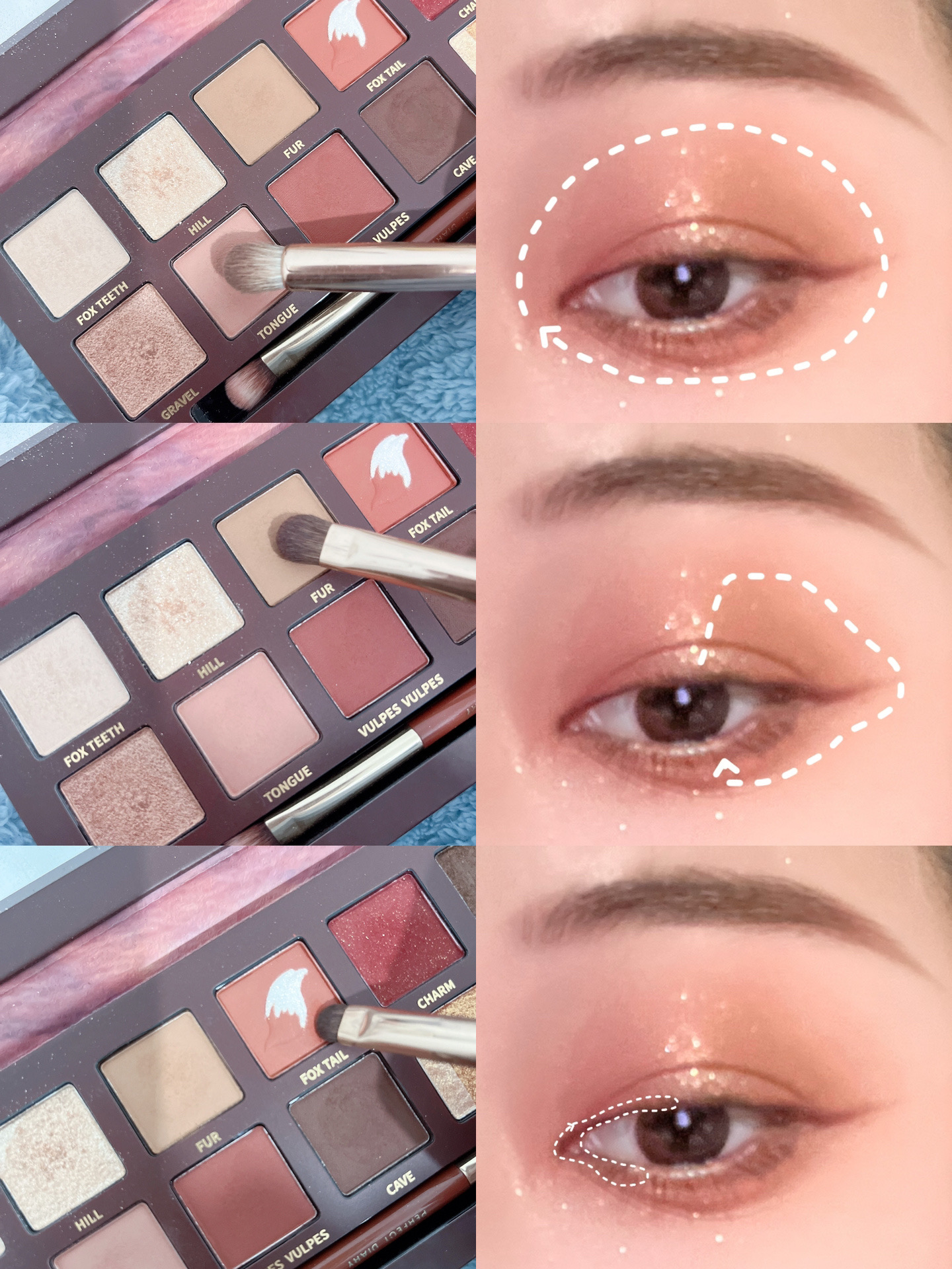 エクスプローラ12色 動物アイシャドウパレット/PERFECT DIARY/アイシャドウパレットを使ったクチコミ（3枚目）