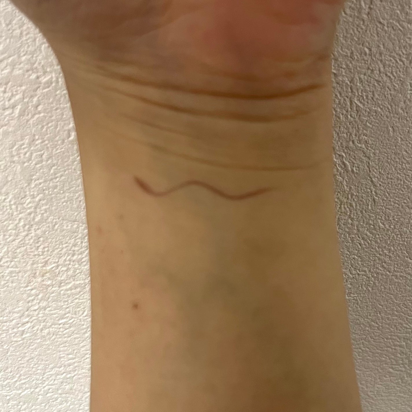 エテュセ アイエディション(スキニーブロウライナー)/ettusais/リキッドアイブロウを使ったクチコミ(3枚目)