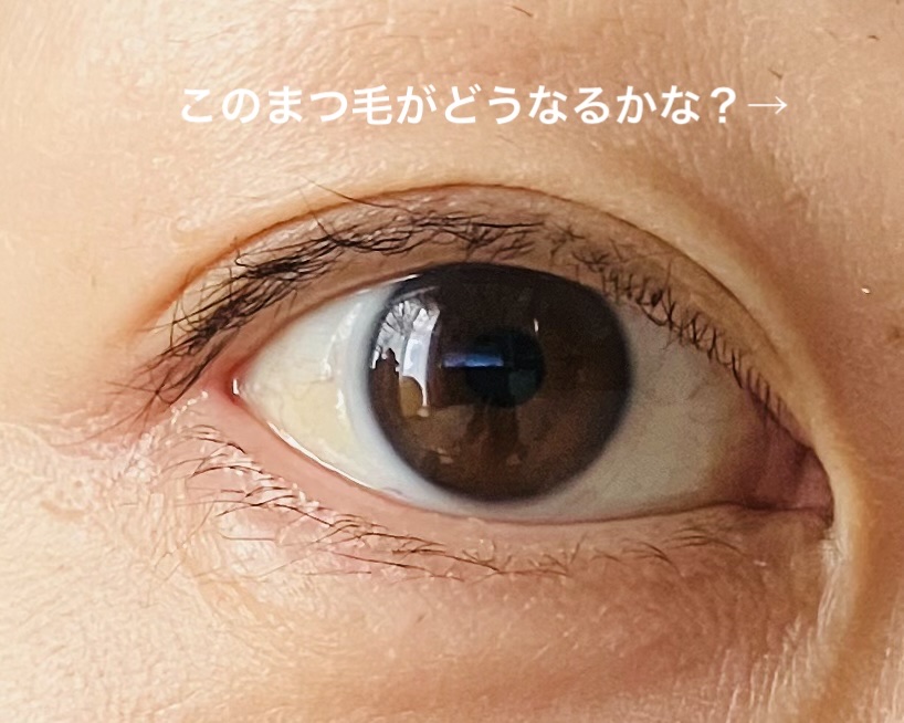 部分用つけまつげ/セリア/つけまつげを使ったクチコミ（2枚目）