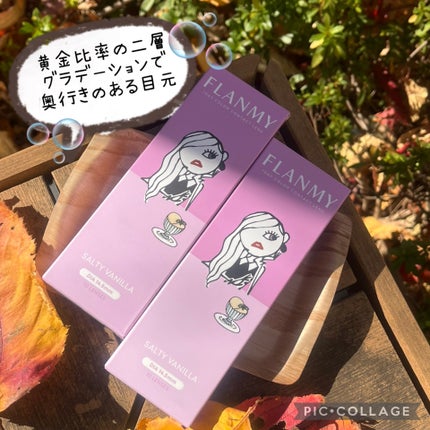 FLANMY 1day/FLANMY/ワンデー(1DAY)カラコンを使ったクチコミ(3枚目)
