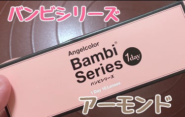 Angelcolor Bambi Series 1day  アーモンド/AngelColor/ワンデー（１DAY）カラコンの画像