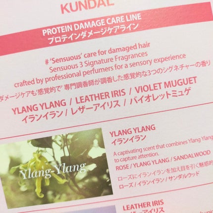 クンダル ダメージケア シャンプー/トリートメント/KUNDAL/市販シャンプーを使ったクチコミ(4枚目)