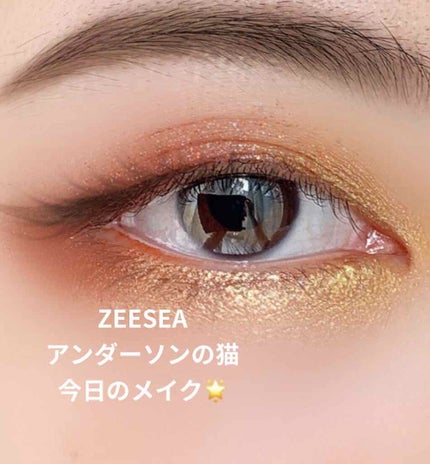 EYE OPENING LINER/UZU BY FLOWFUSHI/リキッドアイライナーを使ったクチコミ(1枚目)