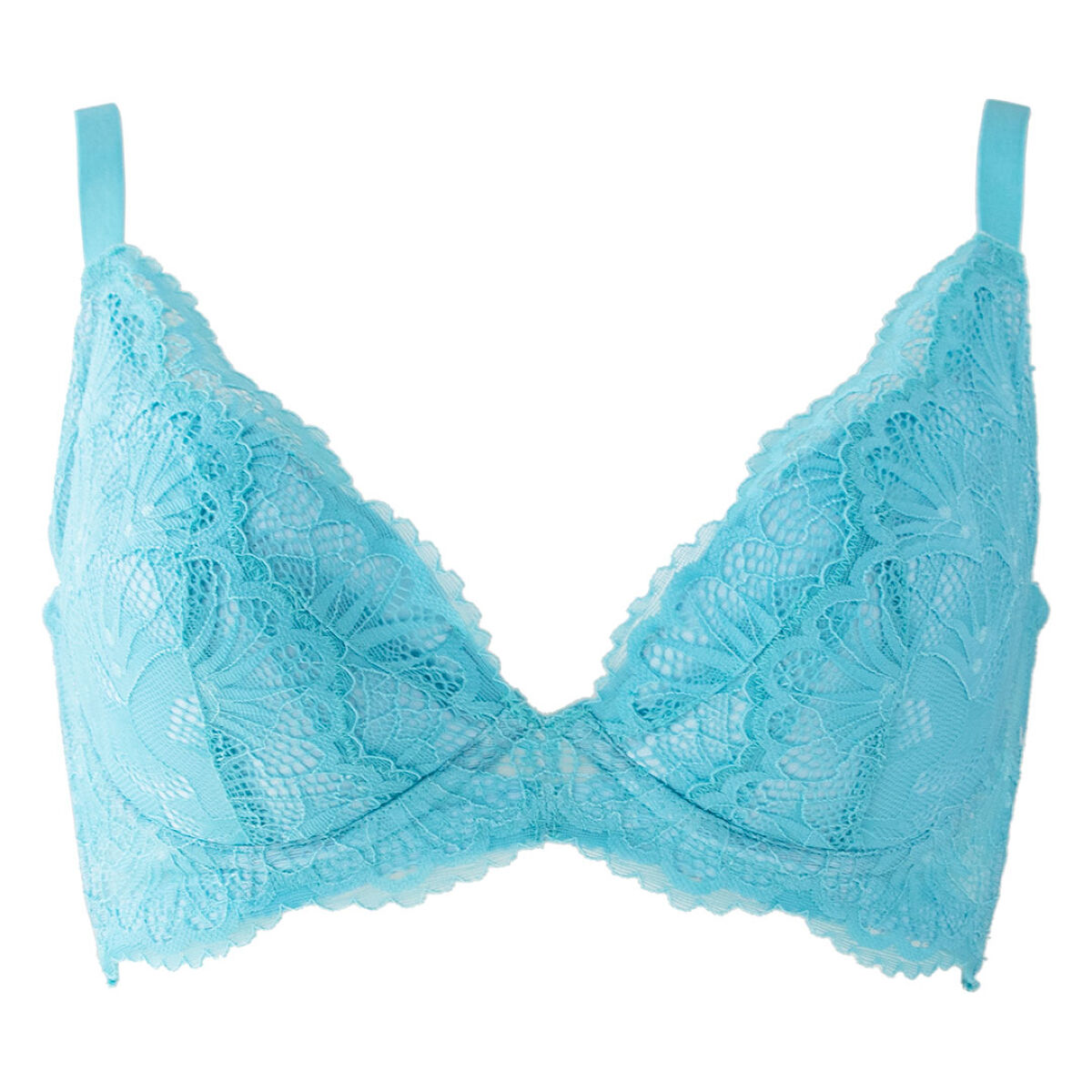 タニマドンナ アクア