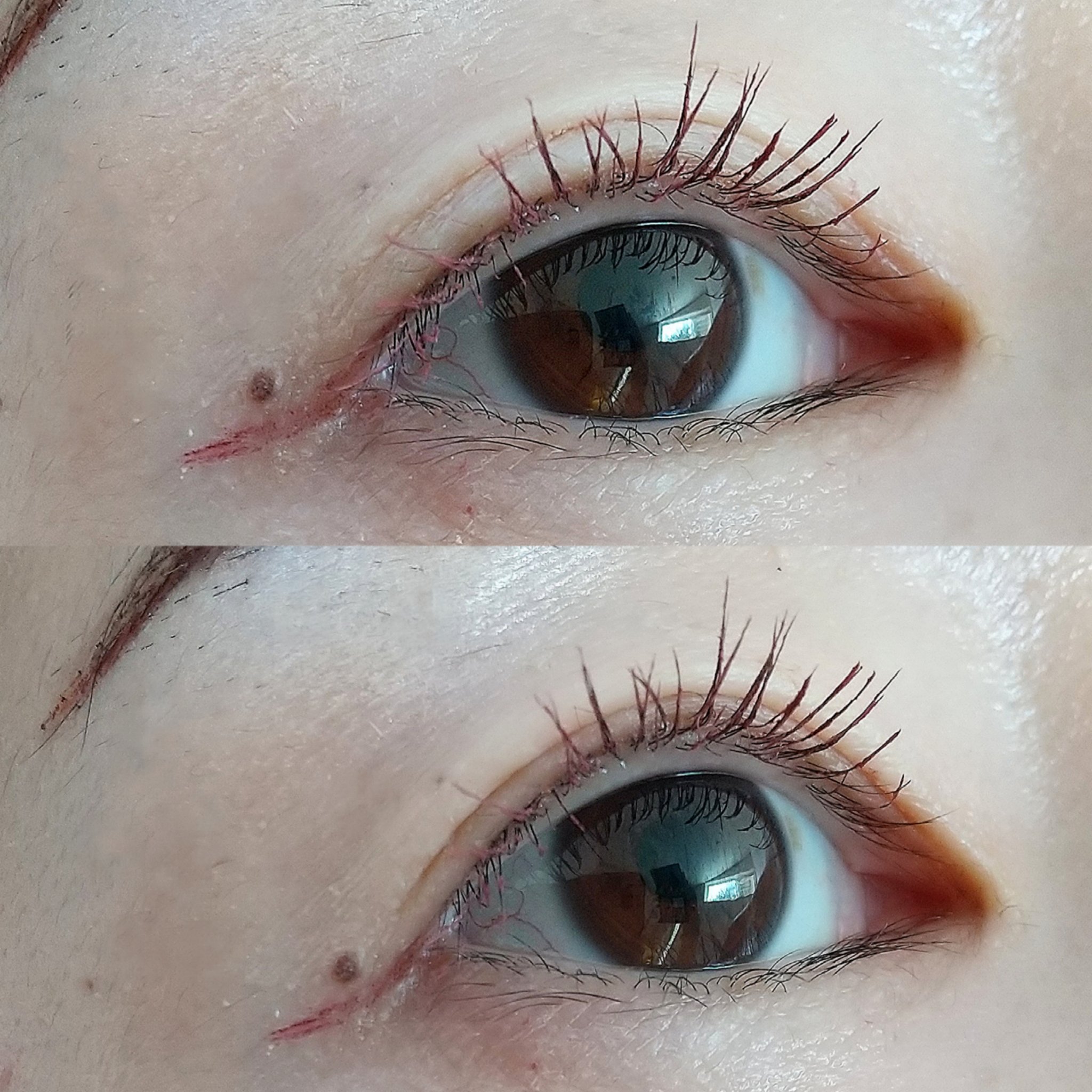 カールキープ マスカラベース 51 ピンクブロッサム/ヒロインメイク/マスカラ下地を使ったクチコミ（3枚目）