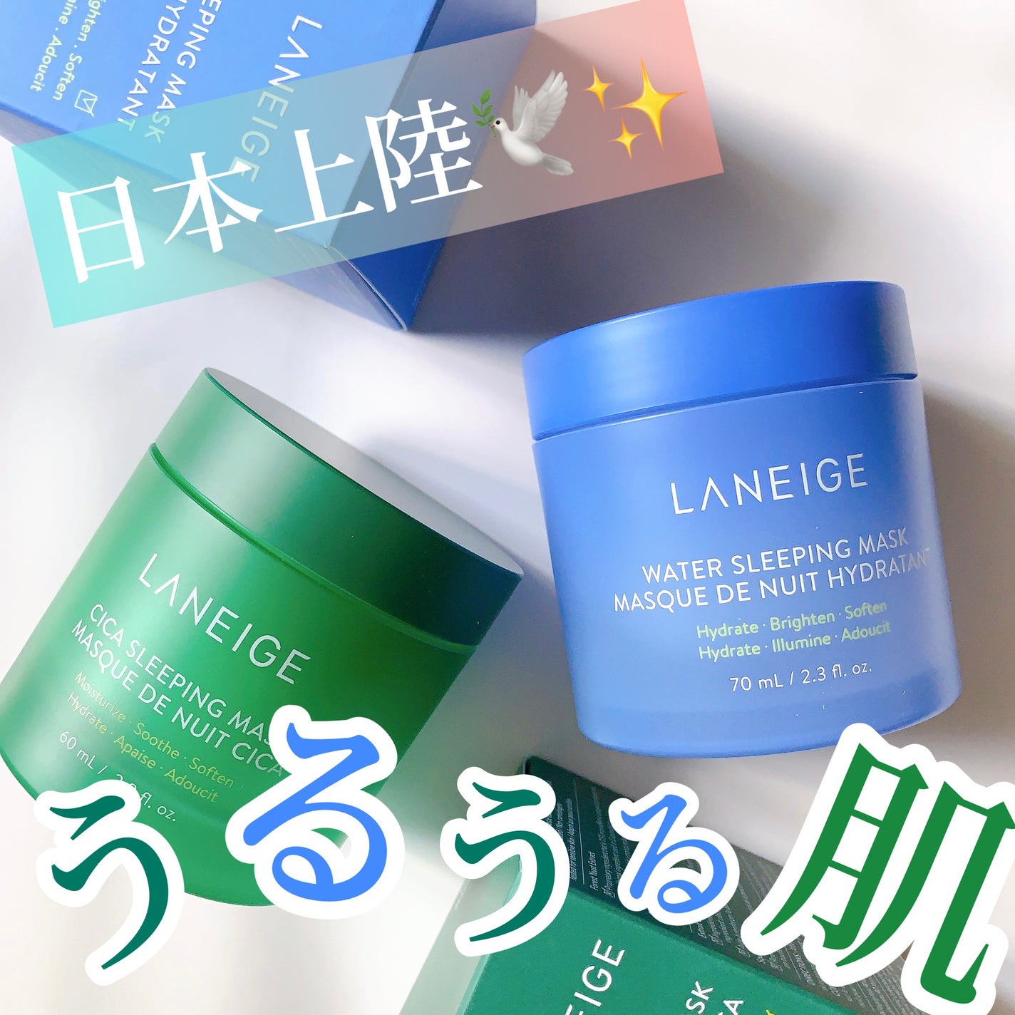 シカスリーピングマスク/LANEIGE/フェイスクリームを使ったクチコミ(1枚目)