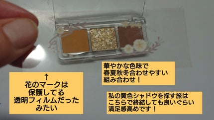 アイプランナー/excel/単色アイシャドウを使ったクチコミ(3枚目)