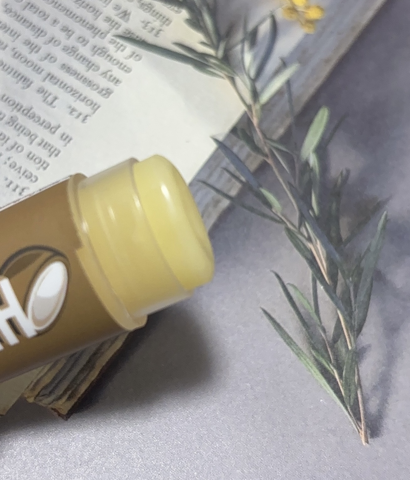 ハーロウ! バーム ココナッツ/ハーロウ! バーム/リップバームを使ったクチコミ（2枚目）