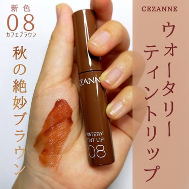 □商品紹介
CEZANNE
ウォータリーティントリップ
08  カフェブラウン
¥660


□使ってみた感想     ※個人の意見です

○テクスチャー
・水のように伸びがよく軽いつけ心地

○カラー