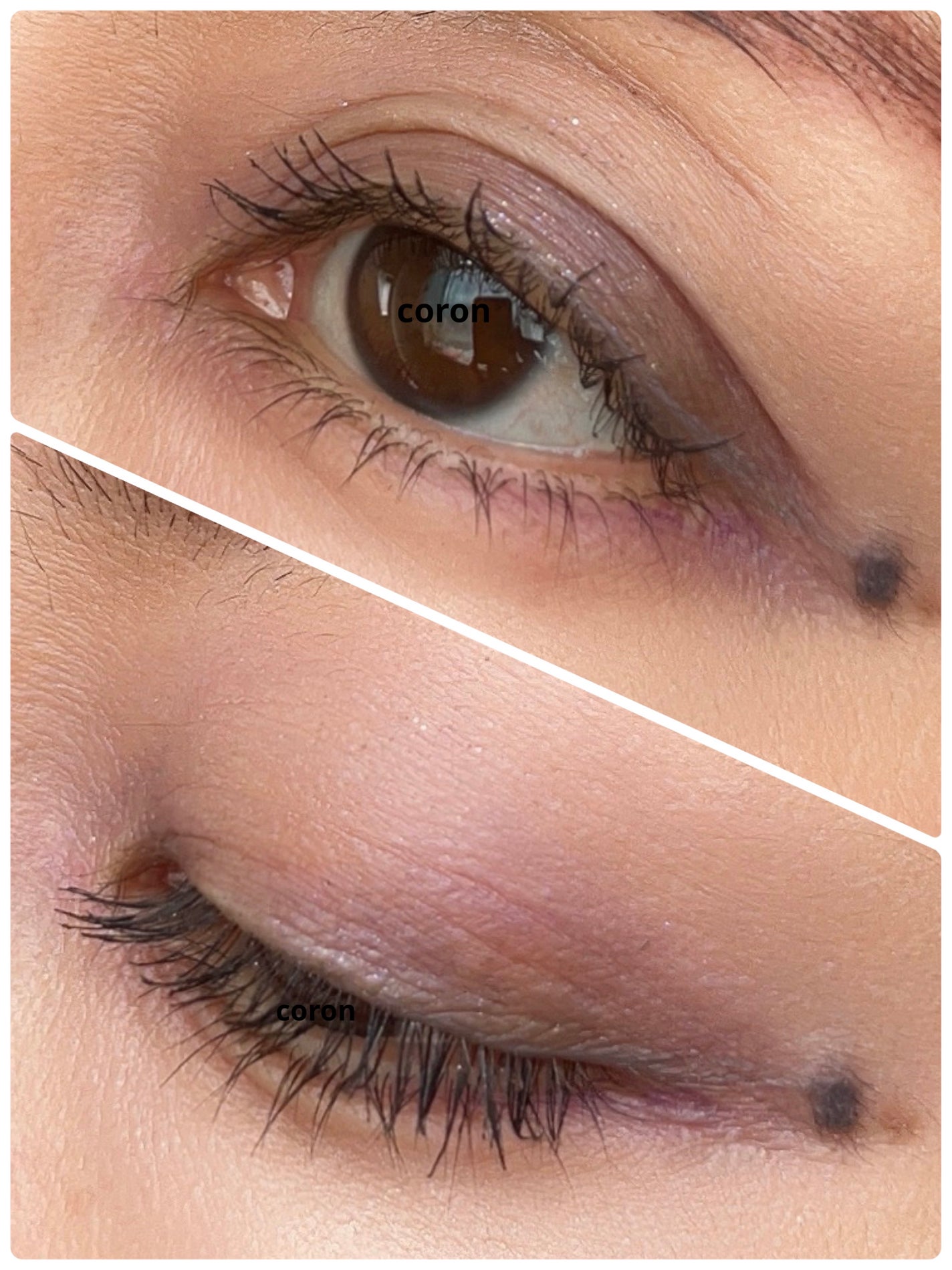 ãªã³ãã« ãã«ããšãŒã« ã©ãã¯/CHANEL/ãªãããã¢ã€ã·ã£ããŠã䜿ã£ãã¯ãã³ãïŒ2æç®ïŒ