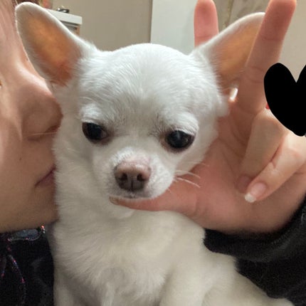 しに子ちゃん on LIPS 「爪が割れに割れた……自爪なのに……素爪なのに…………、さような..」(1枚目)