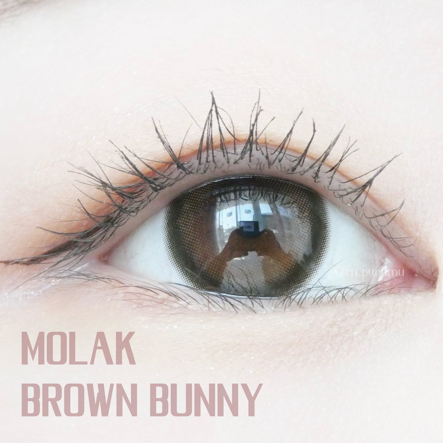 MOLAK 1day/MOLAK/ワンデー(1DAY)カラコンを使ったクチコミ(1枚目)